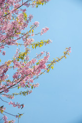 Similar image 7873099