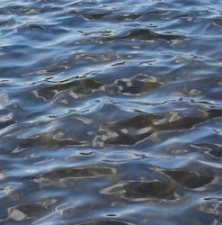 Similar image 7873113