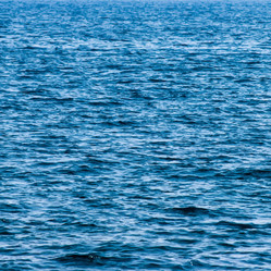 Similar image 7873118