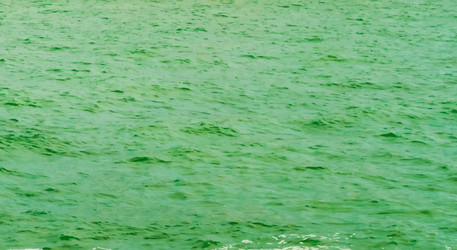 Similar image 7873119