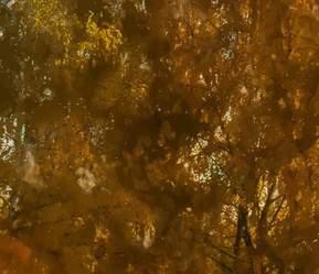 Similar image 7873250