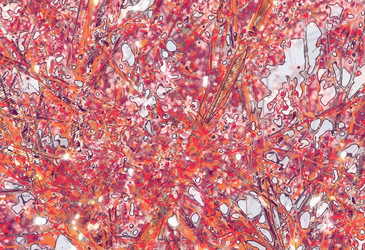 Similar image 7873273