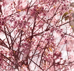 Similar image 7873274