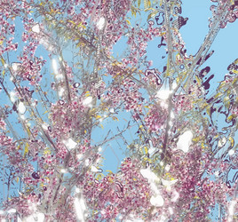 Similar image 7873300