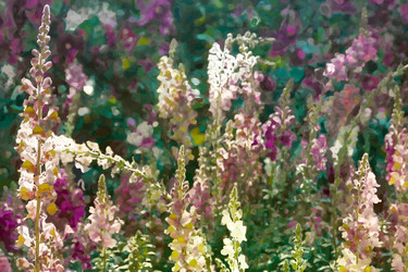 Similar image 7873302