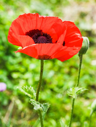 Similar image 7873388