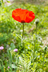 Similar image 7873390