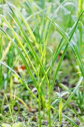 Similar image 7873392