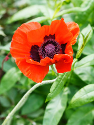 Similar image 7873415