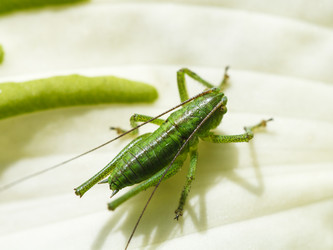 Similar image 7873420