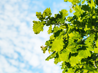 Similar image 7873431