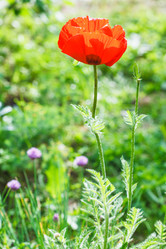 Similar image 7873442