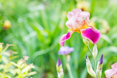 Similar image 7873443