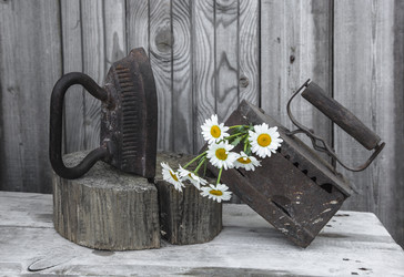 Similar image 7874004