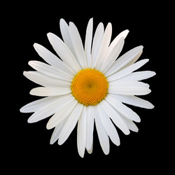 Similar image 7874206