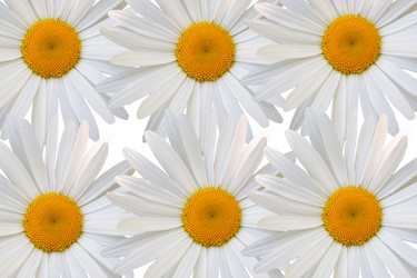 Similar image 7874207