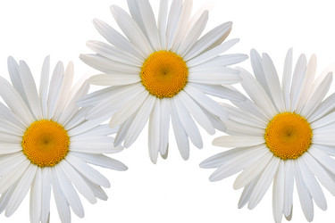 Similar image 7874208