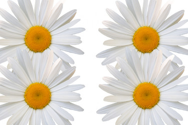 Similar image 7874209