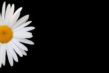 Similar image 7874211