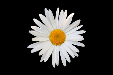 Similar image 7874213