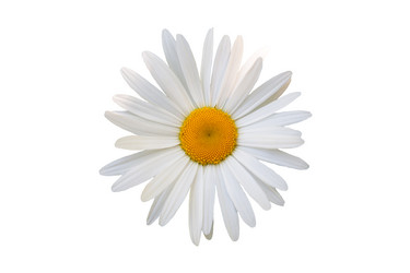 Similar image 7874215