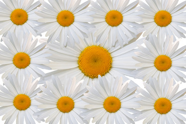 Similar image 7874216