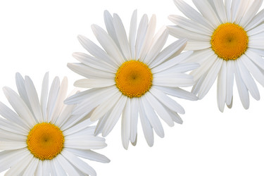 Similar image 7874220