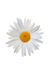 Similar image 7874222