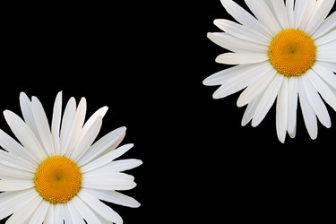 Similar image 7874223