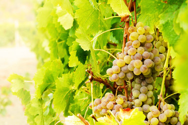 Similar image 7874233