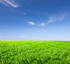 Similar image 7874242