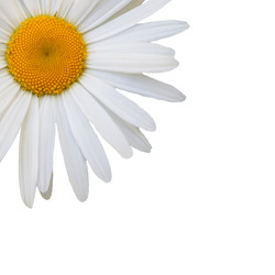 Similar image 7874258