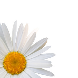 Similar image 7874259