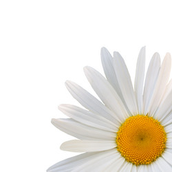 Similar image 7874260