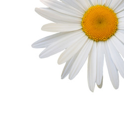 Similar image 7874261