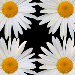 Similar image 7874262