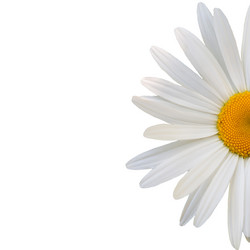 Similar image 7874270