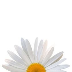 Similar image 7874272