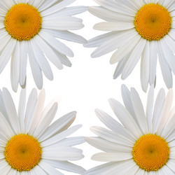 Similar image 7874273