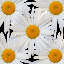 Similar image 7874274