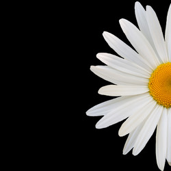 Similar image 7874275