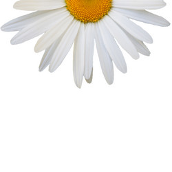 Similar image 7874276