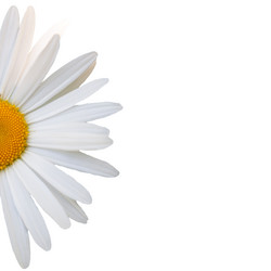 Similar image 7874278