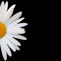 Similar image 7874279