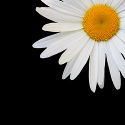 Similar image 7874282