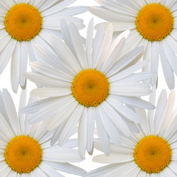 Similar image 7874283