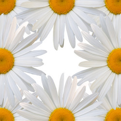 Similar image 7874284