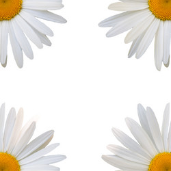 Similar image 7874288