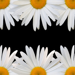 Similar image 7874290