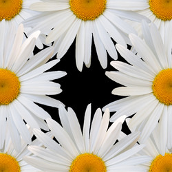 Similar image 7874291